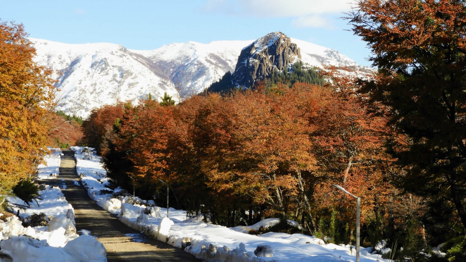 Calle del barrio Piedra de San Francisco